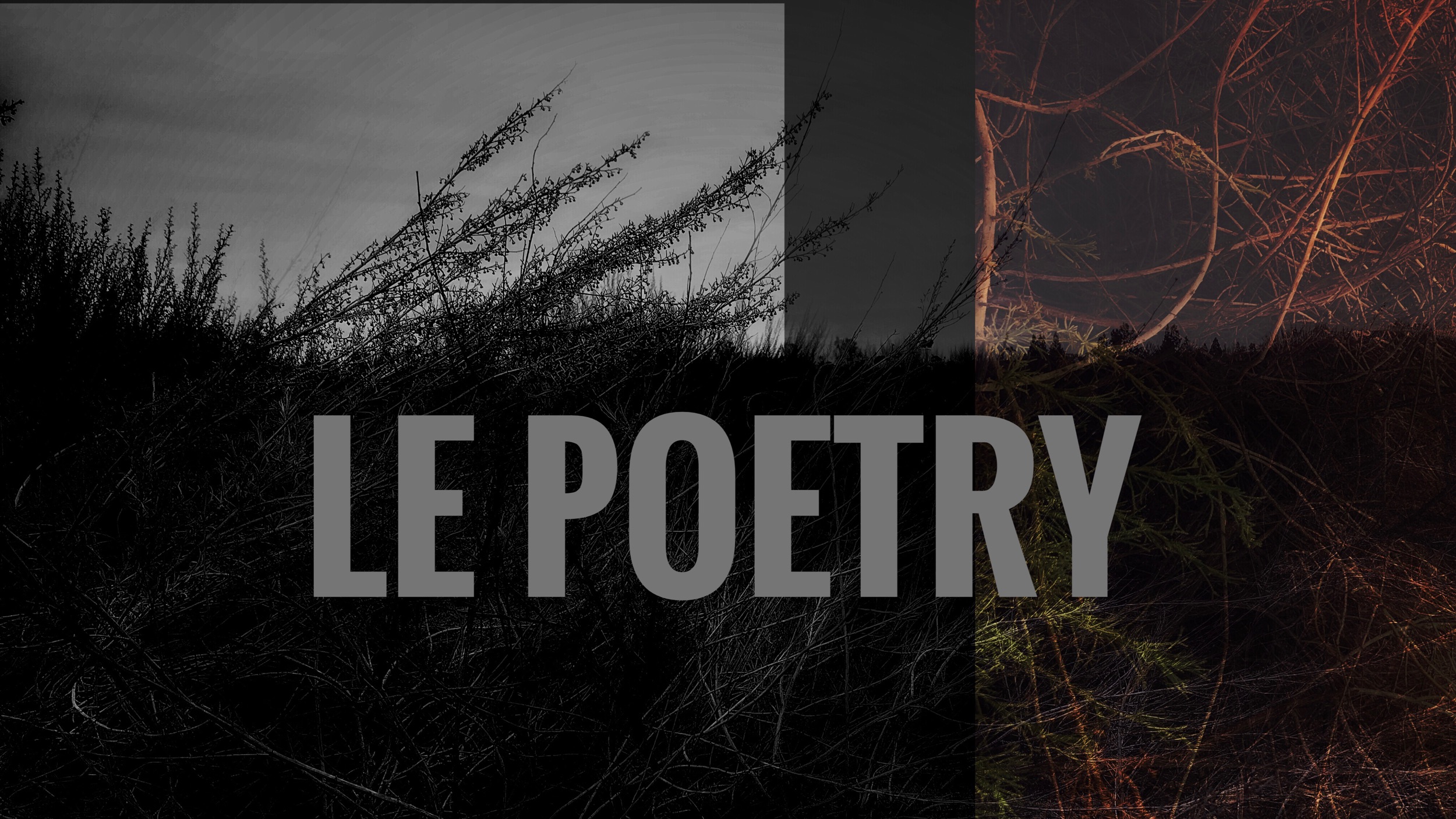 LE Poetry