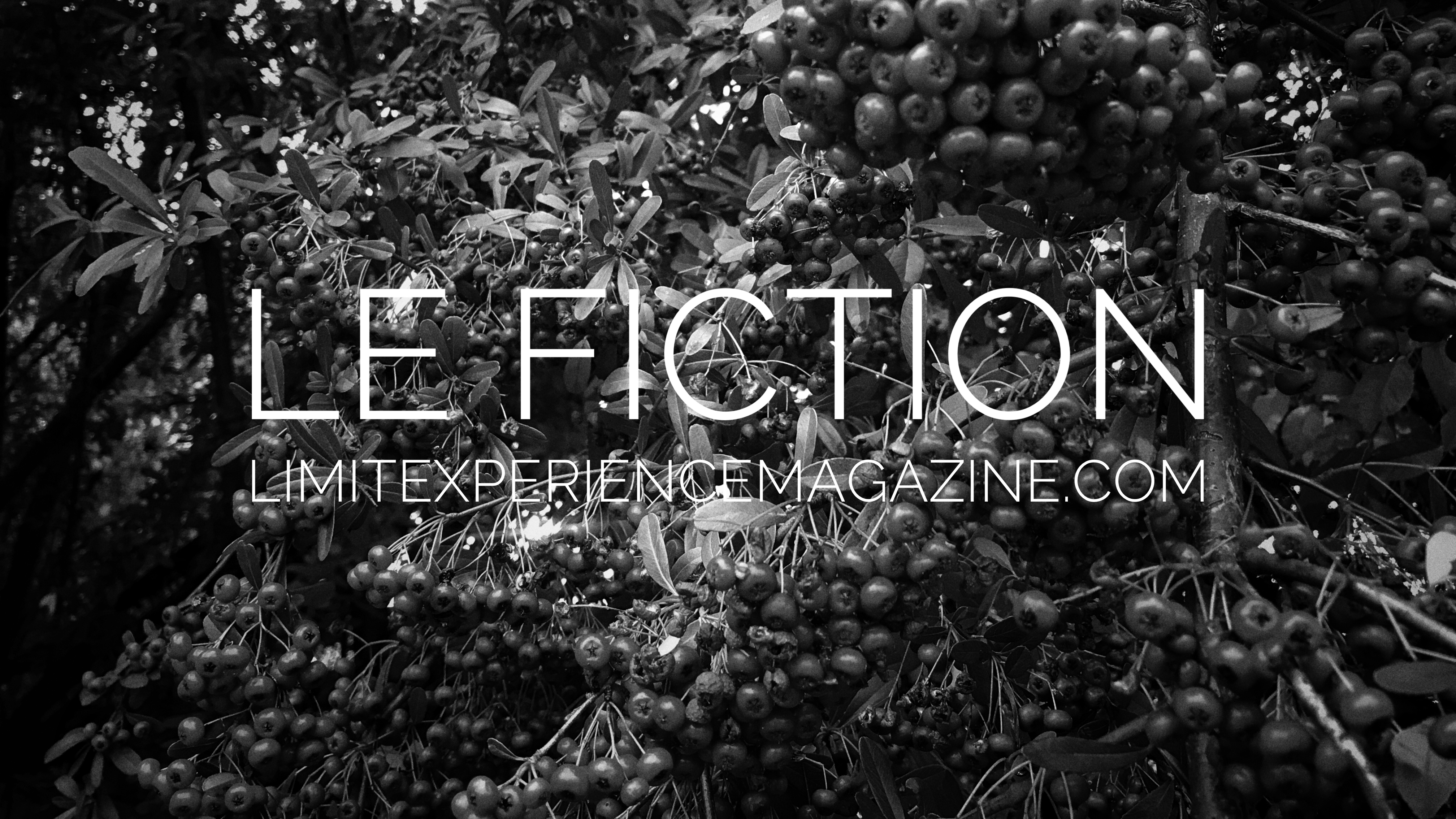 LE FICTION, Andrew Parkinson