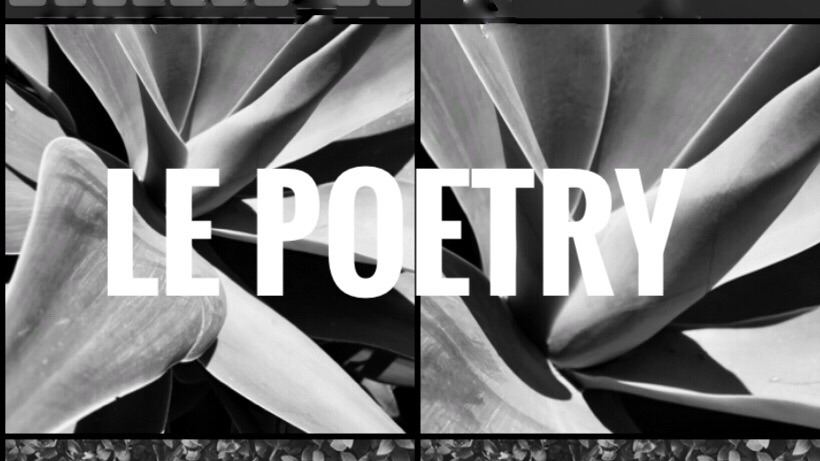 LE Poetry, Diane&nbsp;Funston